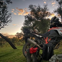 The Big Dog Runs: Cape to Jacobsdal and Back for a Wedding Weekend