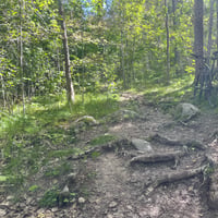 First Mountain Bike Ride in Uppsala