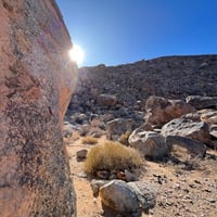 Long Weekend in the Richtersveld
