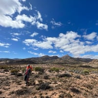 Long Weekend in the Richtersveld