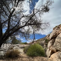 Long Weekend in the Richtersveld