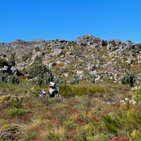 Back Road Exploration between Paarl and Tulbagh