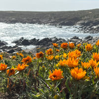 West Coast Weekend With Honda Tygerberg
