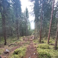 My first dual-sport camping trip in Sweden